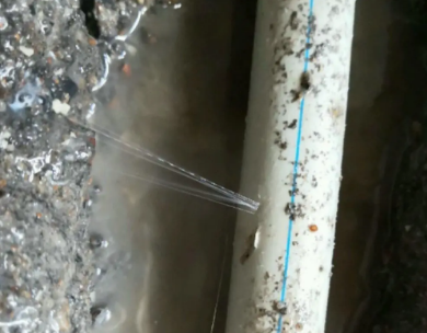 碾子山测漏水哪家好