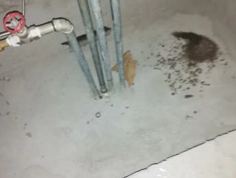 碾子山卫生间测漏水价格明细